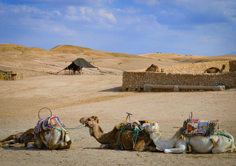 agafay-tour1