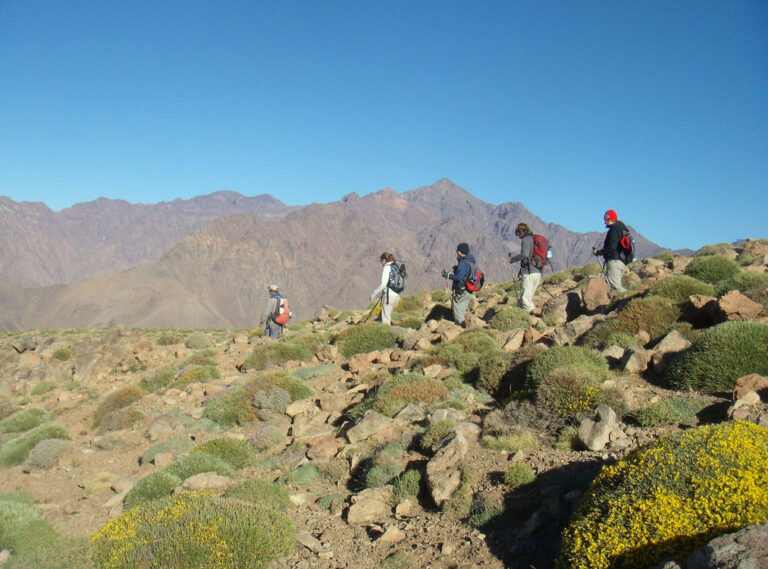 day-trekking (1)