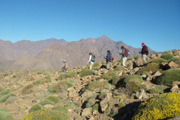 day-trekking